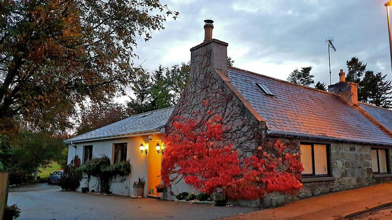 Lilyoak B&B & Self Catering Apartment Insch Esterno foto