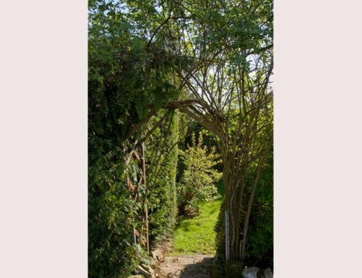 Lilyoak B&B & Self Catering Apartment Insch Esterno foto